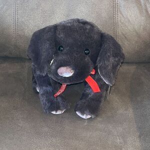 NEW Two Blind Brothers Plush Stuff Animal Dog Braille